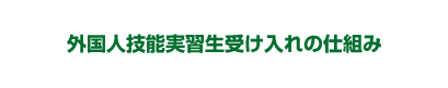 外国人技能実習生受け入れの仕組み